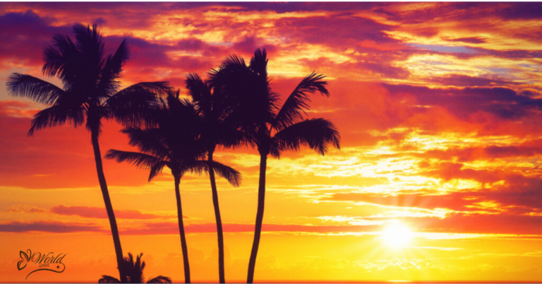 Best Places to Watch Sunset: 11 Breathtaking Spots Around the World (2026 Guide)